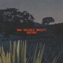 GRZYBO - DWA ODLEGLE $WIATY (PROD. LXST GHXUL)