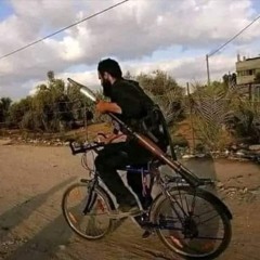 محمد فؤاد - حاضر