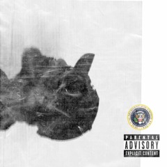 Mr. Presidential