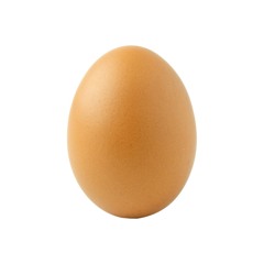 ⠀