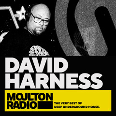 MR 54 w/David Harness Live At the Sunset Sound System Spring Celebration