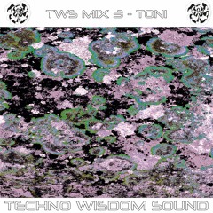 TWS MIX 3 - TONI