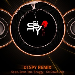Spice, Sean Paul, Shaggy - Go Down Deh DJ SPY REMIX