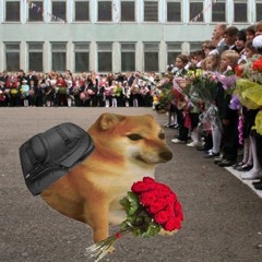 VOZVRASHENIE NO NE V SHCOLU