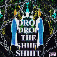DROP THE SHIIIT