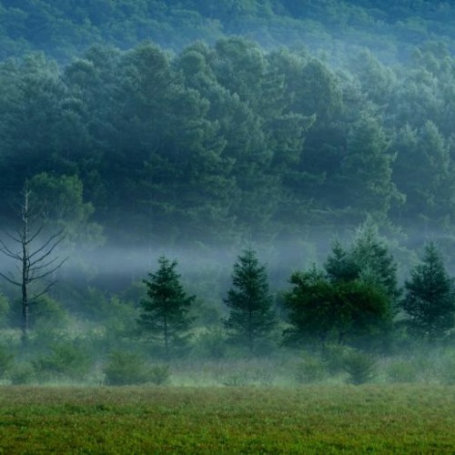 Stream 100g_Ethernet | Listen to مافوتمافيا audio background +FREE ...