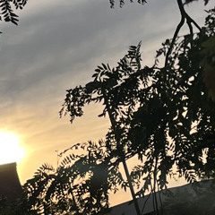 FUXKMOON - Lean Chronicles Remix