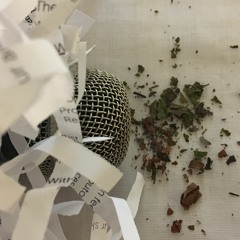 The White Noise Library audience participation experiments 1-2 November 2019 Battersea Arts Centre