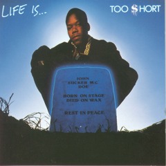 Too $hort ft. Rappin' 4-Tay - Don't Fight the Feelin'
