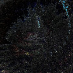 Channels - Instrumental