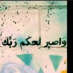 أبو عبدالملك - وسوف ينبت الشجر