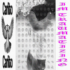 sig.carlito - the code [2024]