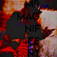 "MM" Mr. Magnificent 2low & Whouwannabe/prod.