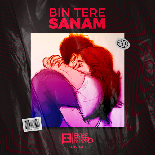 Bin Tere Sanam (Feroz Haamid Afro Edit) cover
