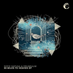 Drumsauw Feat.Sofie Sapuna - Lights (Original Mix)
