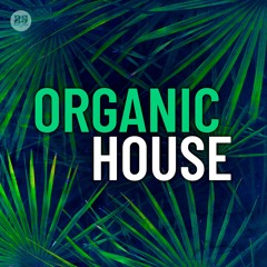Organic House 2025 🌅 Burning Man - Tulum - Ibiza - Mykonos