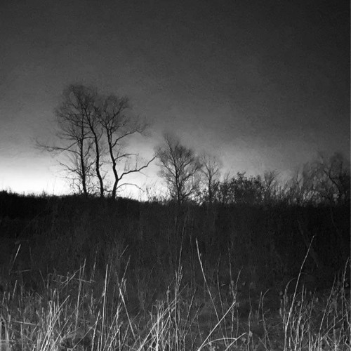 WHEN THE LEAVES CHANGE (Prod. CENOTXPH)