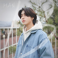13 - HAN ( STRAY KIDS ) SKZ RECORD