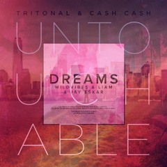 WildVibes & LIAM & Jay Eskar vs. Cash Cash - Untouchable Dreams (Mikko Edit) *FREE DL