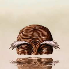 swamp bottom