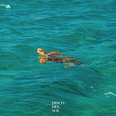 Turtles in The Ocean
