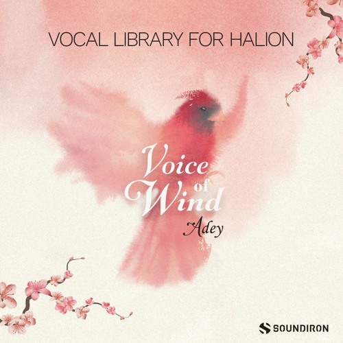 Fairy Of The Lost Valley