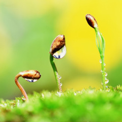 Áchim György - (Hard Even & Pege) - new life (new gift of world remix)