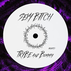 Tribe & BUMMY - SEXY B!TCH