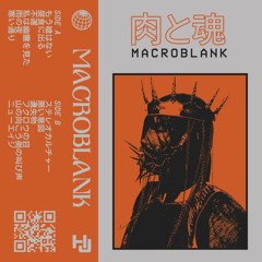 Macroblank - 山の向こう側の叫び声 / screams on the other side of the mountain
