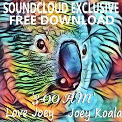 Joey Koala - 3-00 AM