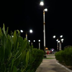 24رمضان 1445 هـ "سورة الشعراء".