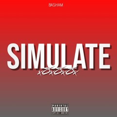 Simulate - BASHAM