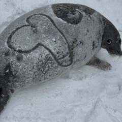 Nhạc đi làm 🦭