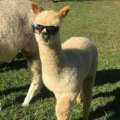 MILKOVSKYI - спать (Нервы - я не хочу без тебя спать)