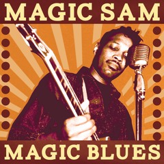 Melco　DINOSAUR JR.  Magic Sam 他 Magic Sam Live - Album by Magic Sam | Spotify