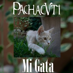Pachacvti - Mi Gata (prod. Three D Bits)