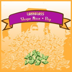 Shape Nice inst
