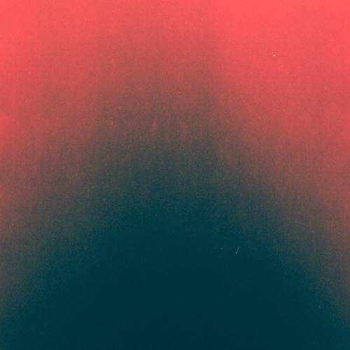 PREMIERE: Kipunji - OMG