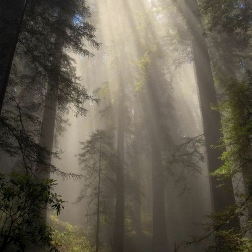 They're Gonna Move From Their House In Two Days, And It's All Your Fault!