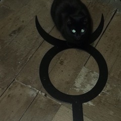 hits (boolymon marrgielaa)