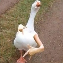 John Farnham - Break the Ice (RAD theme).mp3
