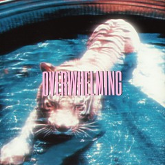 OVERWHELMING (prod. Spvceless)