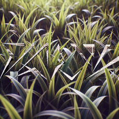 VALIK_SAMUEL 21.03.2025