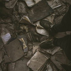 Sorting Through The Ashes