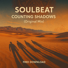 Counting Shadows (Original Mix)
