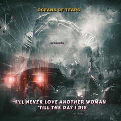 Swboily - I'll Never Love Another Woman - MASTER