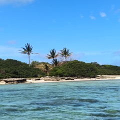 ♣️ mash up #24 ♠️