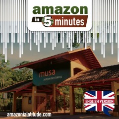 Amazon in 5 minutes: landslides in Colombia and Ibama's general strike