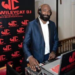 Mr Wileycat DJ Presents Raw Flava In The Kitchen -  The UK Garage & RnB Hit Mix