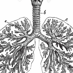 LONGS SOUPIRS DE VIEUX POUMONS (@KIOSK / GHENT / KRAAK)